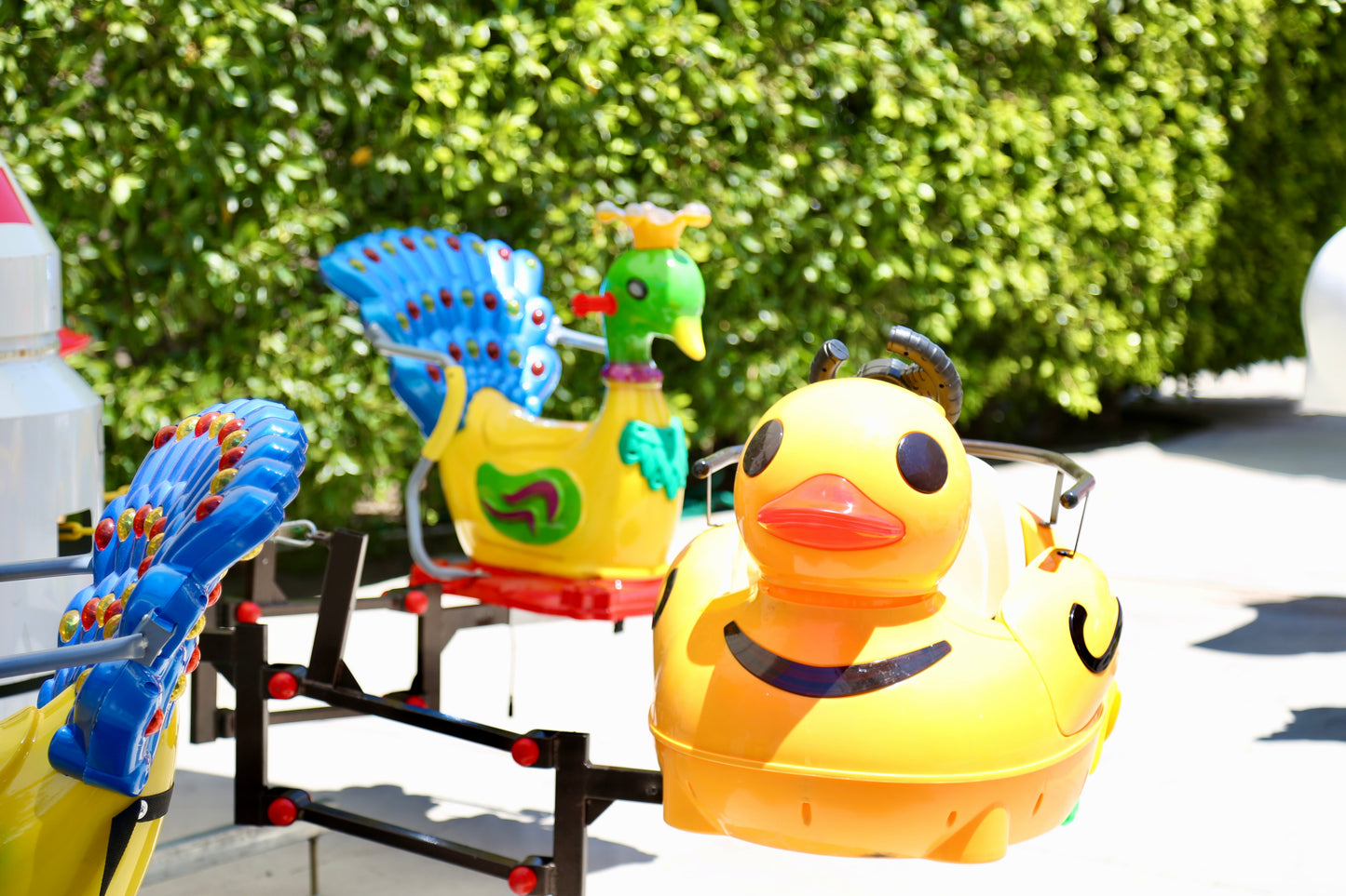 Bird Carousel
