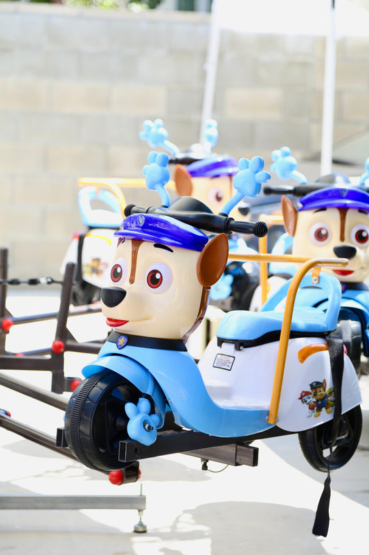 Paw Patrol Carousel