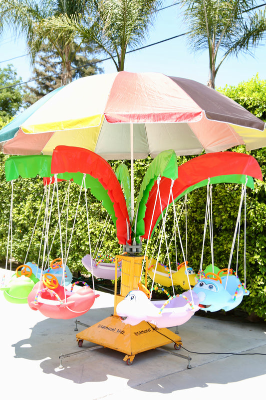 Airplane Swing Carousel