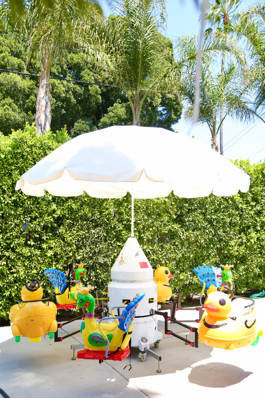 Bird Carousel