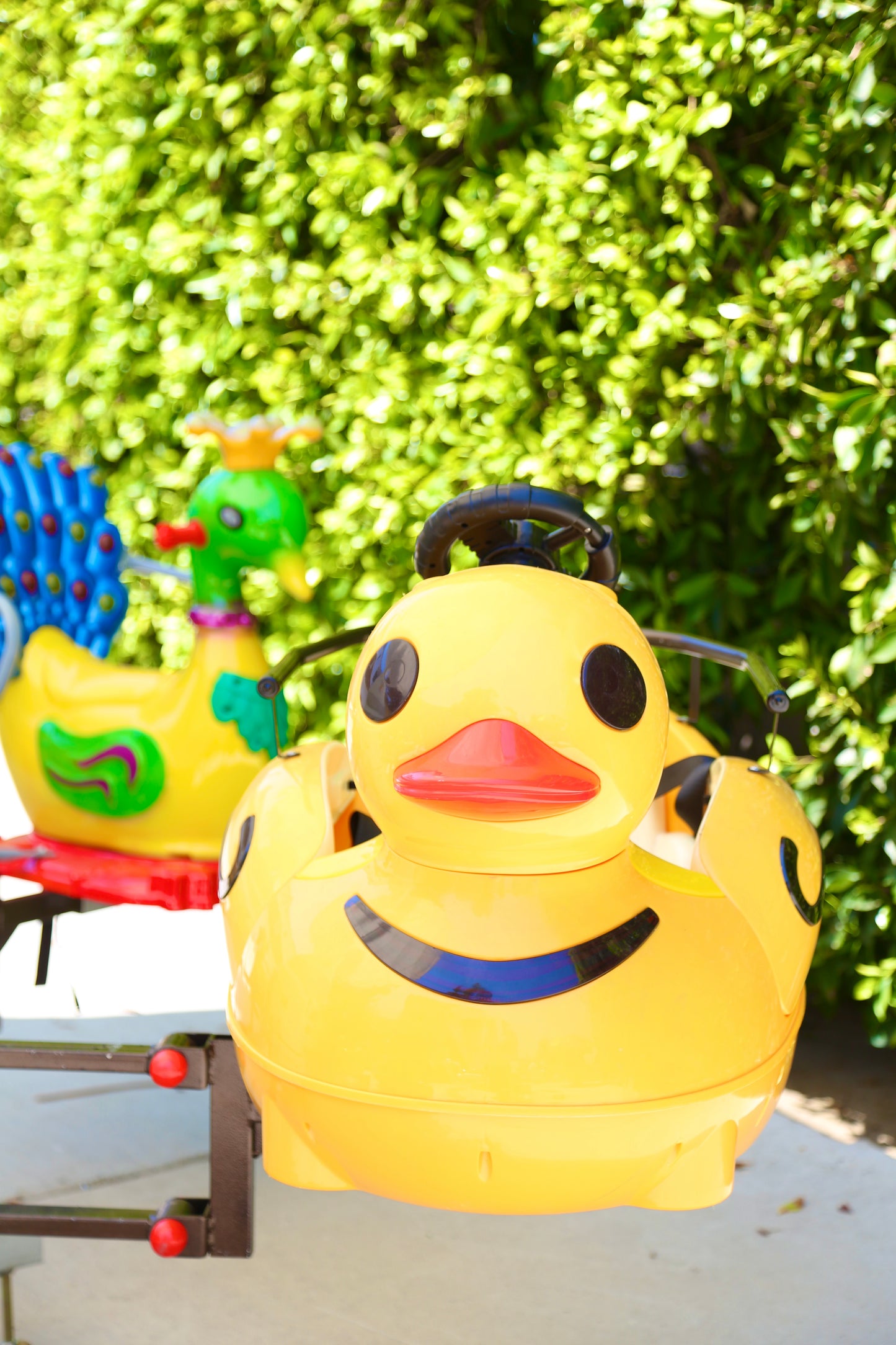 Bird Carousel