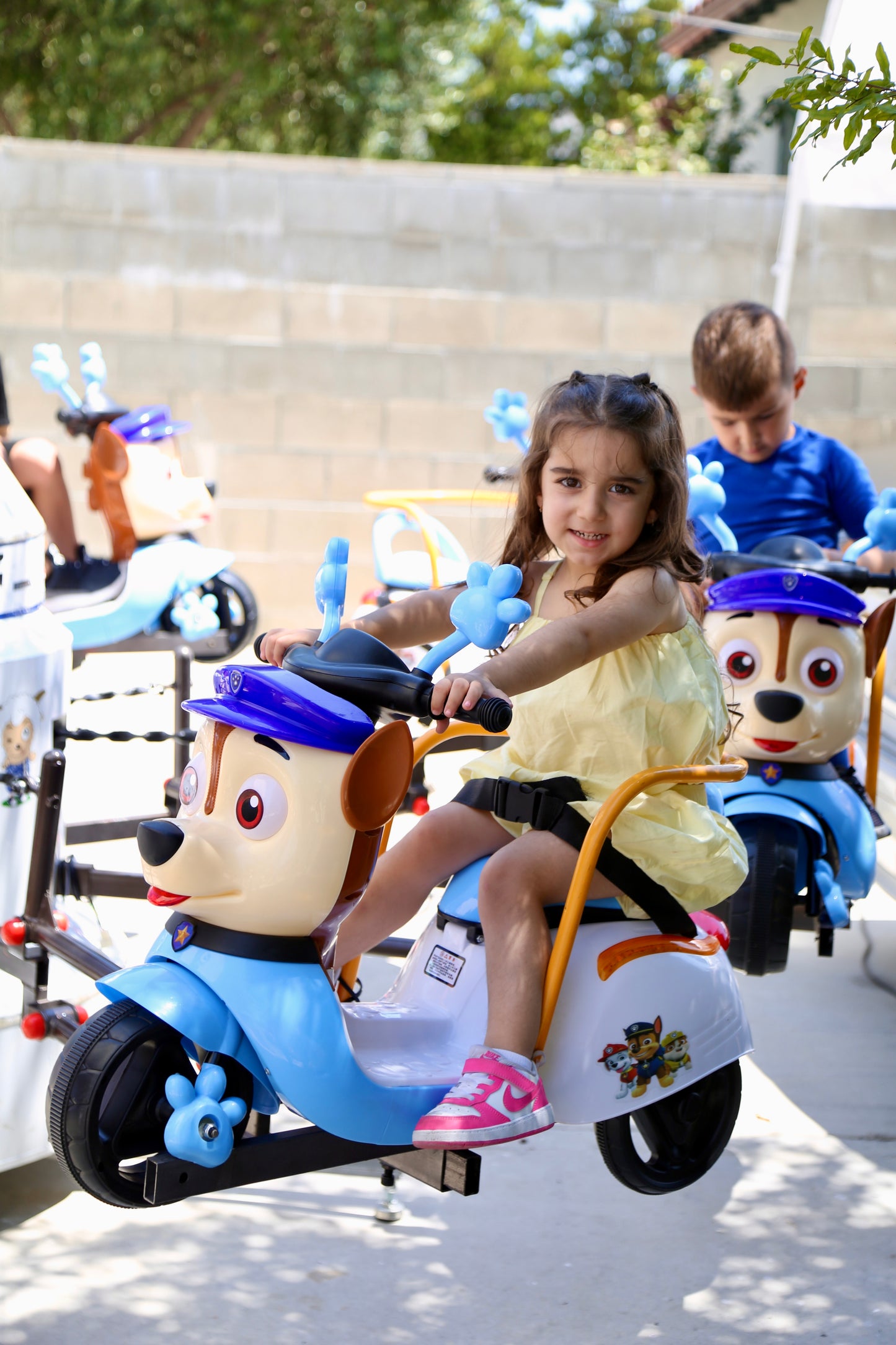 Paw Patrol Carousel