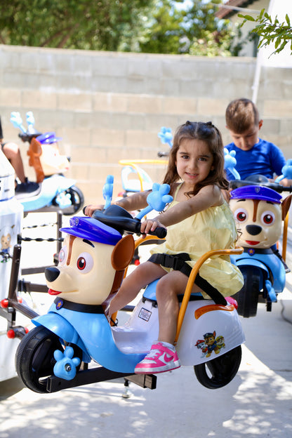 Paw Patrol Carousel