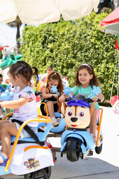 Paw Patrol Carousel