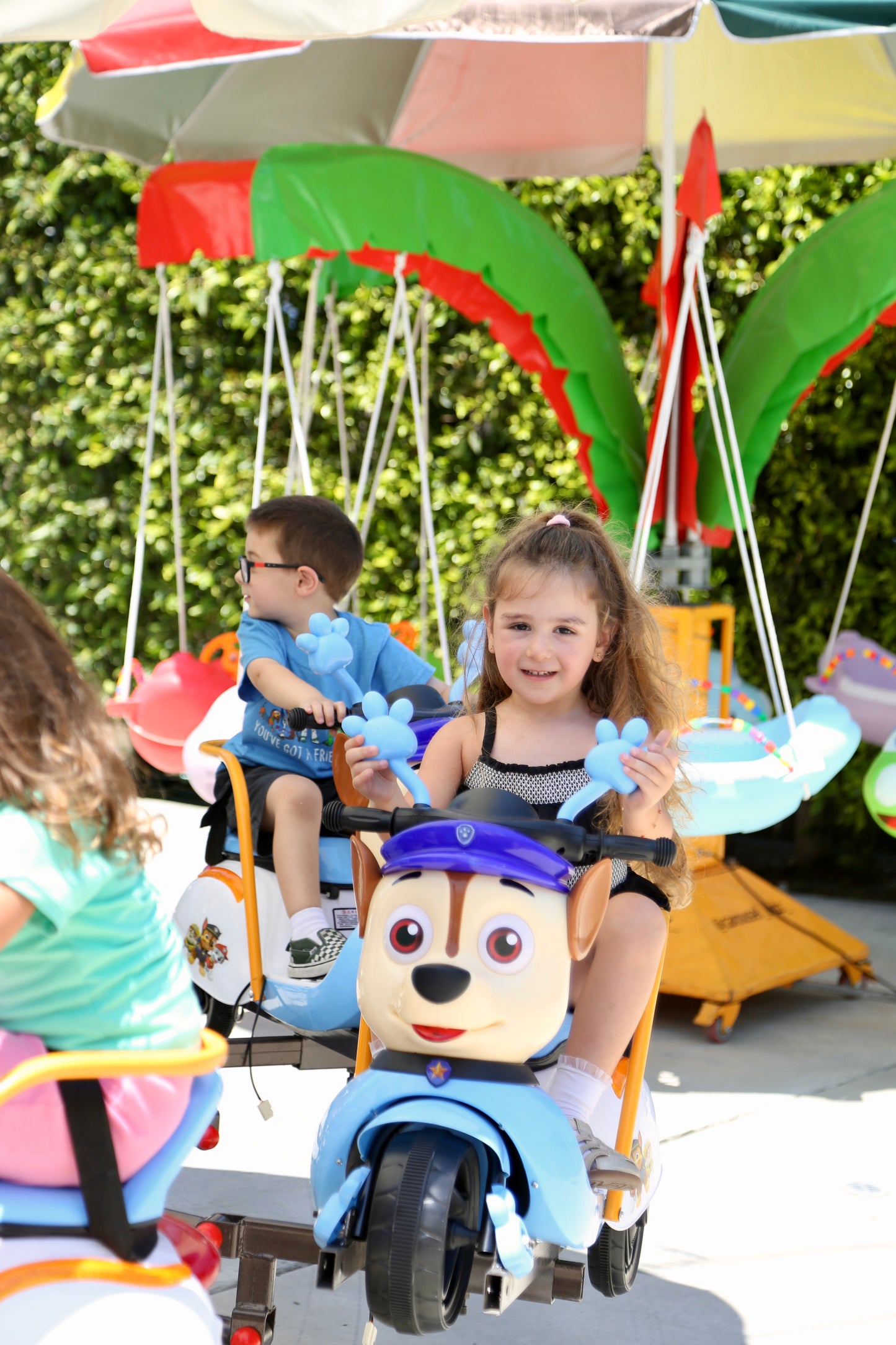 Paw Patrol Carousel