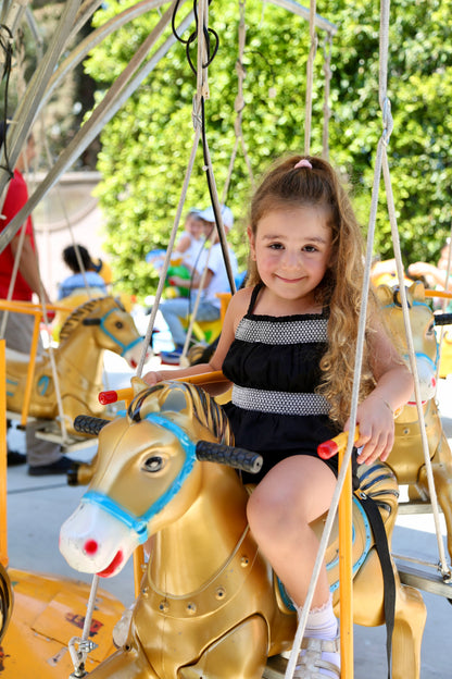 Horse Carousel