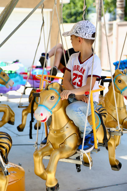 Horse Carousel