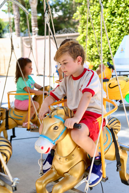 Horse Carousel