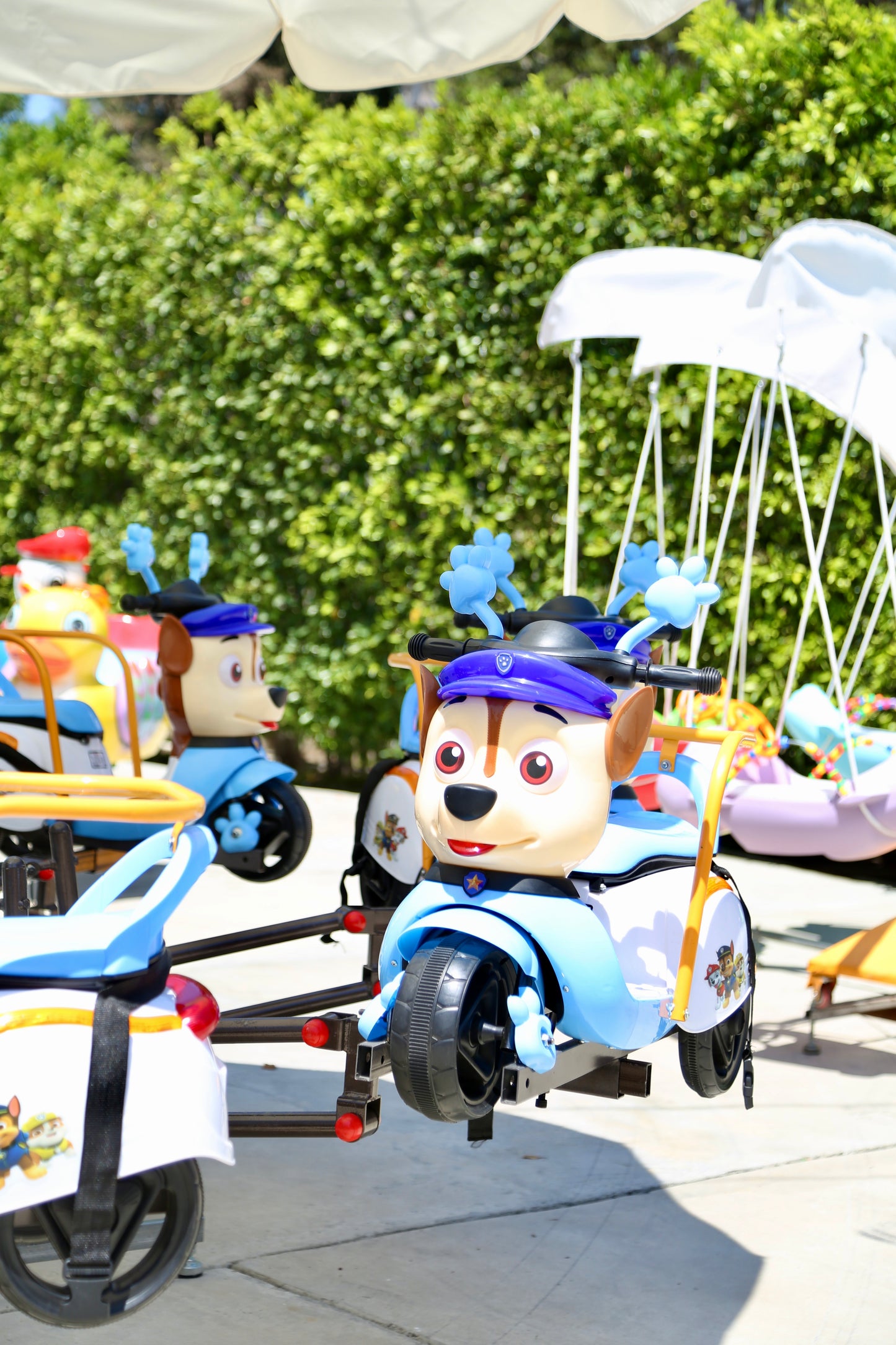 Paw Patrol Carousel