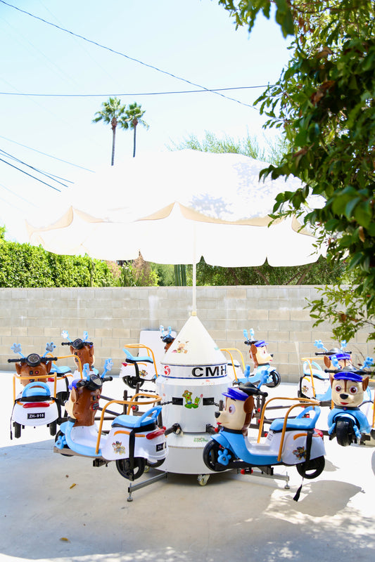 Paw Patrol Carousel