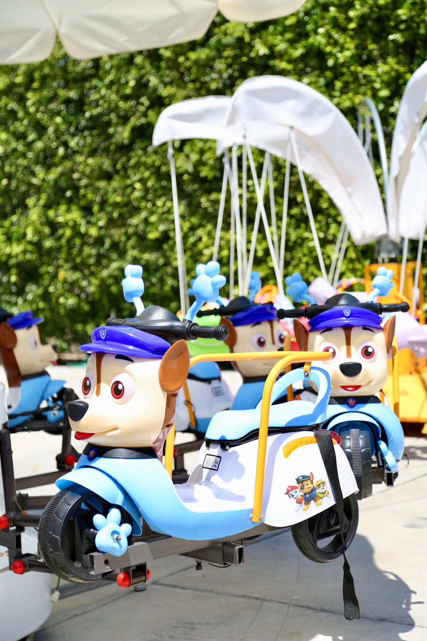 Paw Patrol Carousel